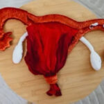 Die erste Periode - Workshop für Mädchen von 9-12 Jahren