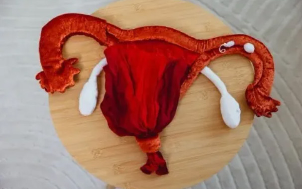 Die erste Periode - Workshop für Mädchen von 9-12 Jahren